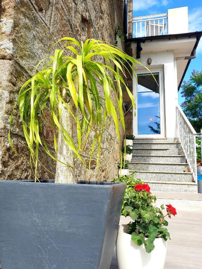 Homestay Tana, Casa Compartida